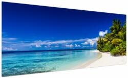 Mivali Tablou - Plaja tropicală, dintr-o bucată 250x125 cm (V023215V250125)