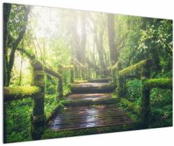 Mivali Tablou - trepte din lemn în pădure, dintr-o bucată 120x80 cm (V020593V12080)