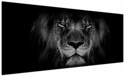 Mivali Tablou - Leu majestic, dintr-o bucată 250x125 cm (V022102V250125)