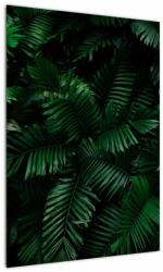 Mivali Tablou - Păpădii tropicale, dintr-o bucată 50x70 cm (V022138V5070)