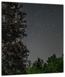Mivali Tablou cu cerul nocturn, dintr-o bucată 30x30 cm (V020998V3030)