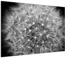 Mivali Tablou păpădie gri, dintr-o bucată 100x70 cm (V020607V10070)