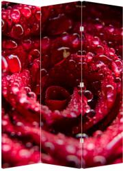 Mivali Paravan - floarea trandafirului roșu, din 3 bucăți, 126x170 cm (P020009P135180)