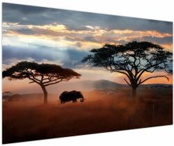 Mivali Tablou - Parcul Național Serengeti, Tanzania, Africa, dintr-o bucată 150x100 cm (V023034V150100)