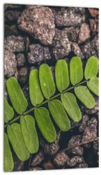 Mivali Tablou cu planta verde, dintr-o bucată 20x30 cm (V020371V2030)