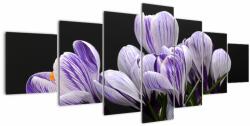 Mivali Tablou - Crocus violet, din șapte bucăți 210x100 cm (V022589V210100)