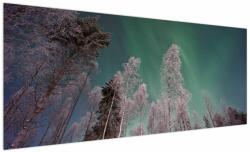 Mivali Tablou cu aurora borealis deasupra pomilor înghețați, dintr-o bucată 250x125 cm (V021684V250125)