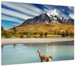 Mivali Tablou - Parcul Național Torres del Paine, dintr-o bucată 70x50 cm (V023745V7050)