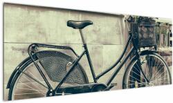 Mivali Tablou - Bicicleta de epocă cu flori, dintr-o bucată 145x58 cm (V023413V14558)