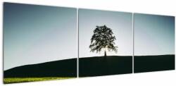 Mivali Tablou cu natura - copac, din trei bucăți 150x50 cm (V020162V15050)