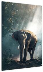 Mivali Tablou cu elefant în djunglă, dintr-o bucată 50x70 cm (V020490V5070)
