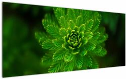 Mivali Tablou cu coniferi, dintr-o bucată 120x50 cm (V020960V12050)