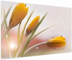Mivali Tablou - Flori de primăvară, dintr-o bucată 120x80 cm (V023870V12080)