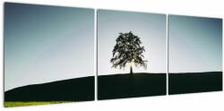 Mivali Tablou cu natura - copac, din trei bucăți 120x40 cm (V020162V12040)