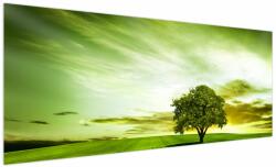 Mivali Tablou - Copacul vieții, dintr-o bucată 250x125 cm (V022494V250125)