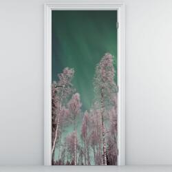 Mivali Fototapet pentru ușă - Aurora boreală peste copaci înghețați (D021684D95205)
