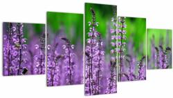 Mivali Tablou cu flori de luncă violete, din cinci bucăți 150x80 cm (V020193V150805PCS)