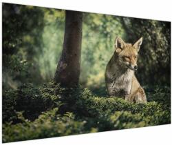 Mivali Tablou cu vulpe, dintr-o bucată 150x100 cm (V020956V150100)