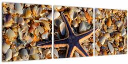 Mivali Tablou cu stea de mare, din trei bucăți 90x30 cm (V020652V9030)