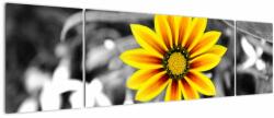 Mivali Tablou cu floare galbenă, din trei bucăți 170x50 cm (V020361V17050)