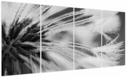 Mivali Tablou - Macro, alb-negru, din patru bucăți 160x80 cm (V024115V16080)