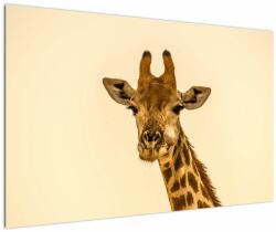 Mivali Tablou cu girafe, dintr-o bucată 120x80 cm (V020914V12080)
