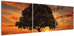 Mivali Tablou cu pomi și apus de soare, din trei bucăți 150x50 cm (V022122V15050)