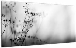 Mivali Tablou pe sticlă - Detailu florior de luncă, dintr-o bucată 100x50 cm pe sticlă (V022197V10050GD)