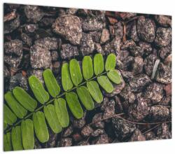Mivali Tablou pe sticlă cu planta verde, dintr-o bucată 70x50 cm pe sticlă (V020371V7050GD)