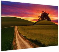 Mivali Tablou cu câmp și cerul colorat, dintr-o bucată 100x70 cm (V020395V10070)