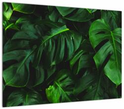 Mivali Tablou cu frunze Monstery, dintr-o bucată 70x50 cm (V021591V7050)