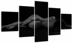 Mivali Tablou - Femeia întinsă nud, din cinci bucăți 125x70 cm (V022896V12570)