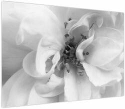 Mivali Tablou - Floare, alb-negru, dintr-o bucată 100x70 cm (V024111V10070)