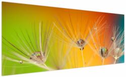Mivali Tablou cu picături pe plantă, dintr-o bucată 250x125 cm (V020469V250125)