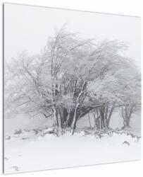Mivali Tablou - Iarnă albă, dintr-o bucată 70x70 cm (V022824V7070)