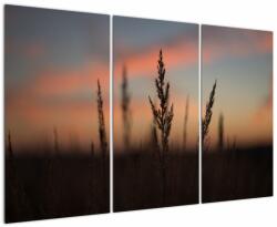 Mivali Tablou - Silueta plantei, din trei bucăți 120x80 cm (V022647V120803PCS)