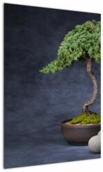 Mivali Tablou - Bonsai, dintr-o bucată 50x70 cm (V022509V5070)