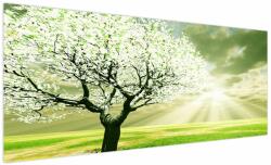 Mivali Tabloul cu pomul înflorit, dintr-o bucată 250x125 cm (V020004V250125)