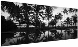 Mivali Tablou - Insula tropicală, dintr-o bucată 250x125 cm (V023145V250125)
