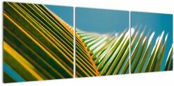 Mivali Tablou - Frunze de palmier, din trei bucăți 120x40 cm (V022685V12040)