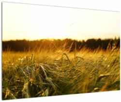 Mivali Tablou iarba cu rouă, dintr-o bucată 90x60 cm (V020584V9060)