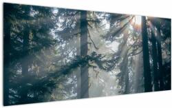 Mivali Tablou cu copaci și soarele translucind, dintr-o bucată 120x50 cm (V021195V12050)