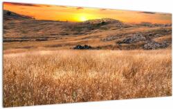 Mivali Tablou pe sticlă cu câmp, dintr-o bucată 100x50 cm pe sticlă (V020837V10050GD)
