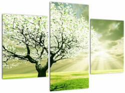 Mivali Tablou cu copaci pe luncă, din trei bucăți 90x60 cm (V021282V90603PCS)
