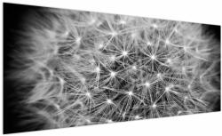 Mivali Tablou păpădie gri, dintr-o bucată 250x125 cm (V020607V250125)