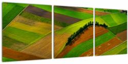 Mivali Tablou - Lan, luncile, din trei bucăți 90x30 cm (V021310V9030)