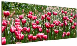 Mivali Tablou - Lalele, dintr-o bucată 145x58 cm (V022557V14558)