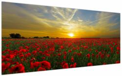 Mivali Tablou cu câmp cu maci, dintr-o bucată 200x100 cm (V020986V200100)
