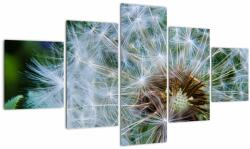 Mivali Tabloul cu păpădie desflorit, din cinci bucăți 125x70 cm (V020006V12570)