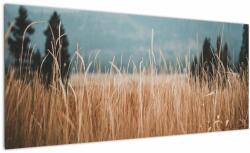 Mivali Tablou - detaliu spațiului de luncă, dintr-o bucată 100x40 cm (V020178V10040)